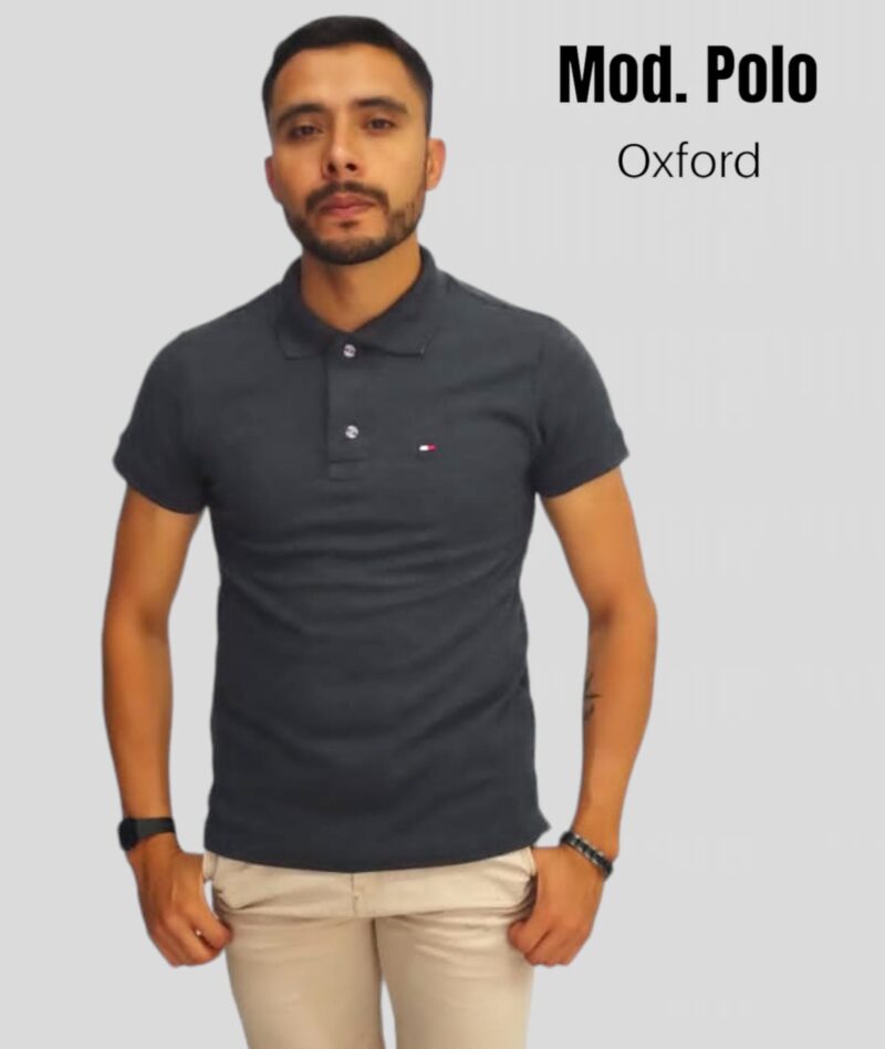 POLO CABALLERO OXFORD